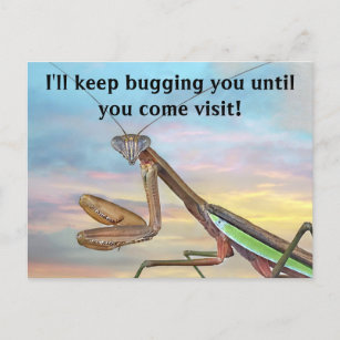 Cartão de Posto Rezando Mantis