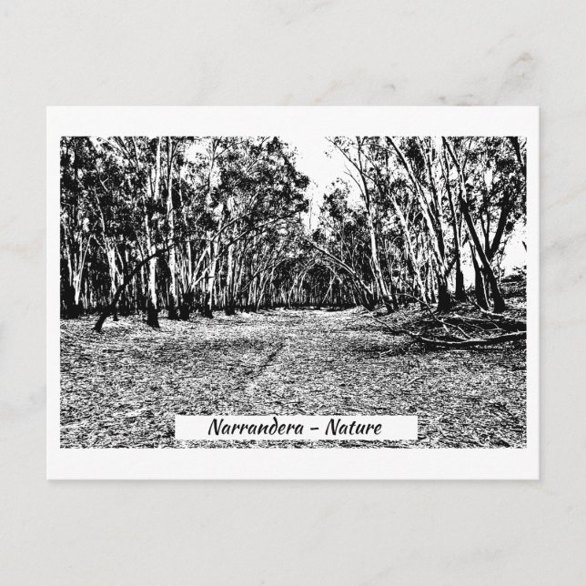 Cartão de posto, Tamanho: Cartão Postal Padrão, (Frente)