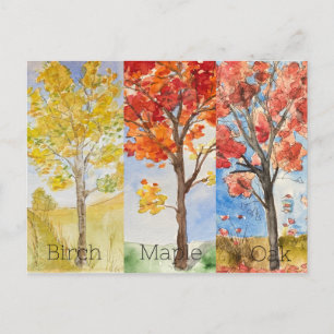 Cartão de posto, Tamanho: Cartão Postal Padrão, Pa