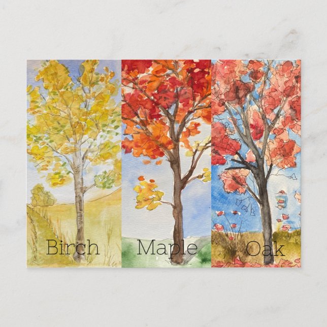 Cartão de posto, Tamanho: Cartão Postal Padrão, Pa (Frente)