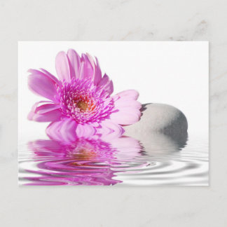 Cartão de posto Zénitude