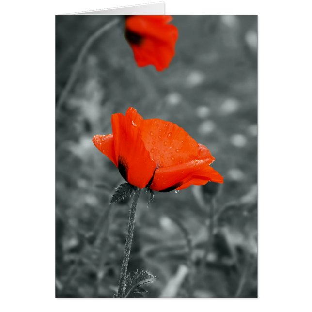 Cartão de preenchimento da tecla de cor (Frente)