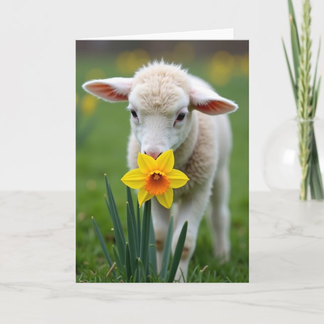 Cartão de Primavera de Cordeiro e Flor (Frente)