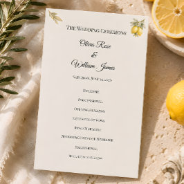 Cartão de Programa de Cerimônia de Casamento Medit