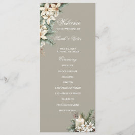 Cartão de programa do lado duplo para o inverno Th