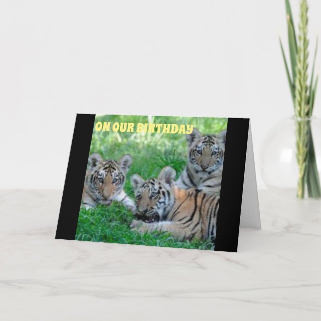 CARTÃO *DE QUALQUER MANEIRA QUE VOCÊ OLHA PARA ELE É O SE (Frente)