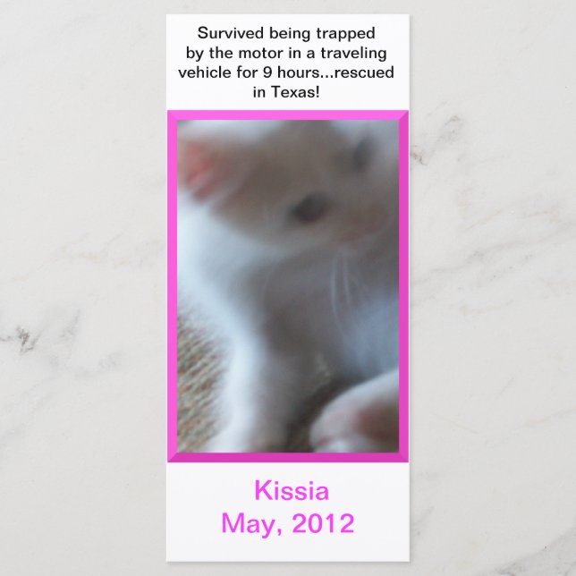 Cartão de Rack ou Indicador Kissia (Gatinho Menina (Frente)