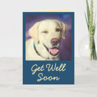 Cartão de Recuperação com Foto Personalizada e Enc