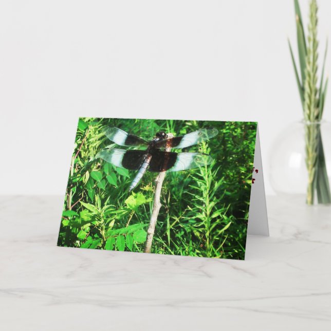 Cartão de Recuperação "Libélula" (Frente)