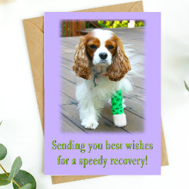 Cartão de Recuperação Rápida Spaniel Desejando Mel