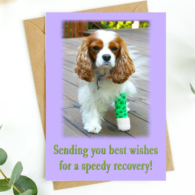 Cartão de Recuperação Rápida Spaniel Desejando Mel (Send speedy recovery healing vibes with this adorable dog card. )
