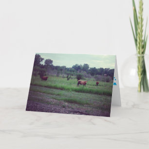 Cartão de Recuperação "Rebanho de Vacas"