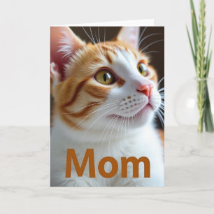 Cartão de retrato de gato carinhoso