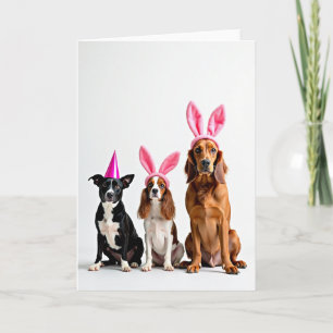 Cartão de retrato de três cães com chapéus rosa