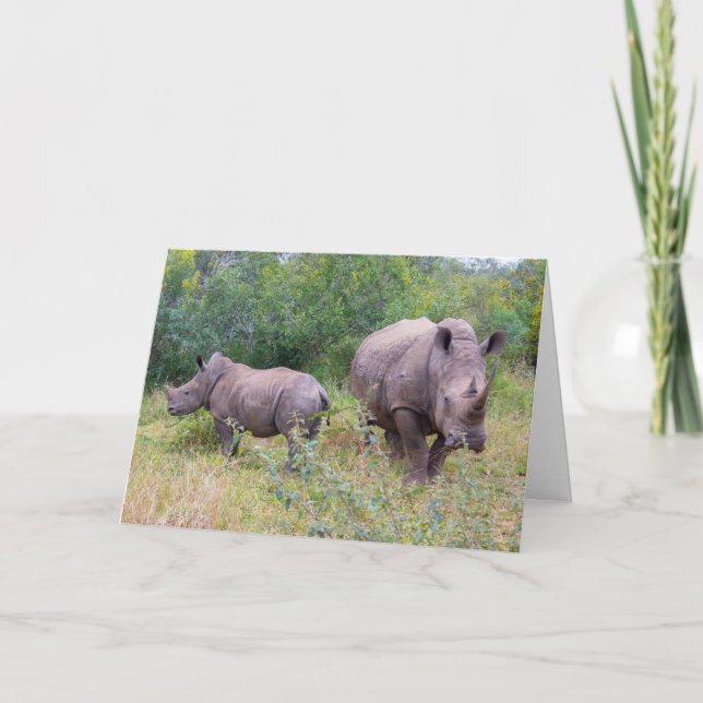 Cartão de rinoceronte mãe e filhote (Frente)