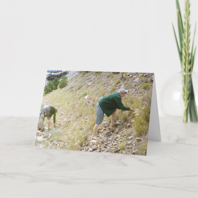 Cartão de Rockhounding do vintage (Frente)