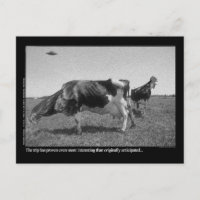 Cartão de Roostercows