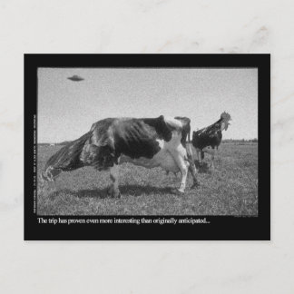 Cartão de Roostercows