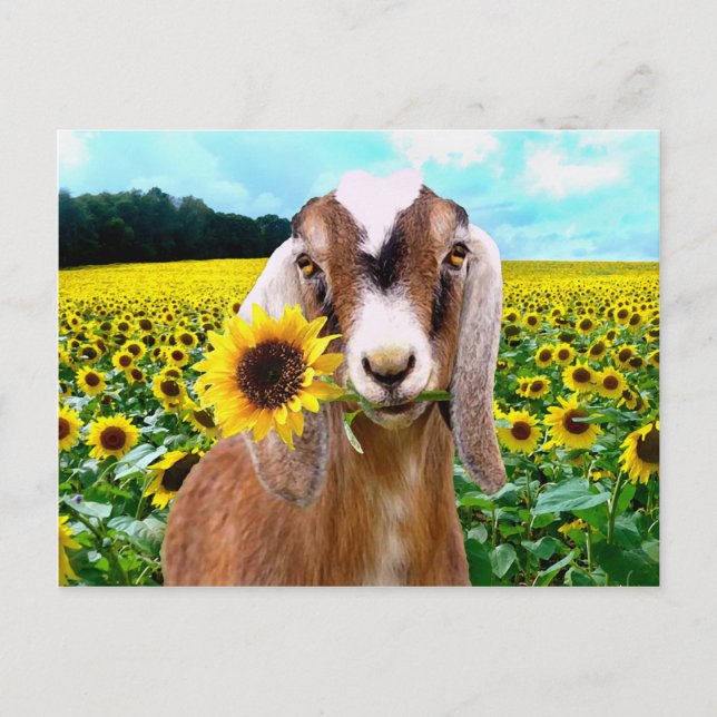 Cartão de "Rory" (Frente)