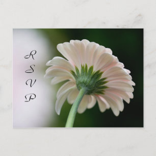 Cartão de RSVP