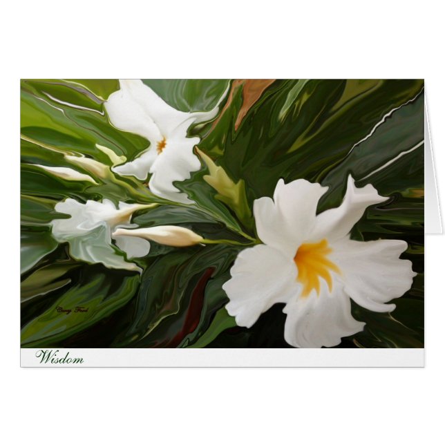 CARTÃO DE SABEDORIA 4 (Frente Horizontal)