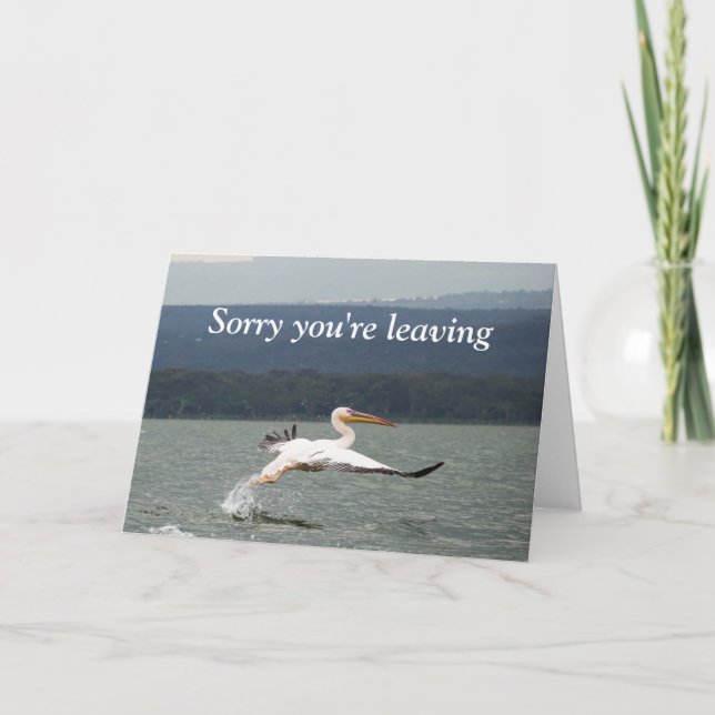 Cartão de saída de aves voadoras (Frente)