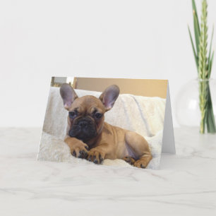 Cartão de Saudação