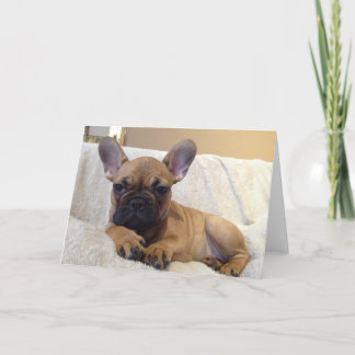 Cartão de Saudação