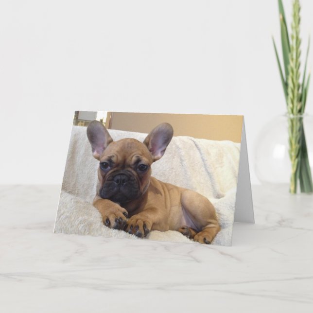 Cartão de Saudação (Frente)