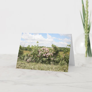 Cartão de Saudação