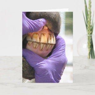 Cartão de Saudação