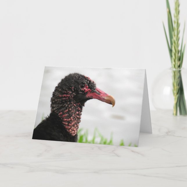 Cartão de Saudação Abutre Preto (Frente)