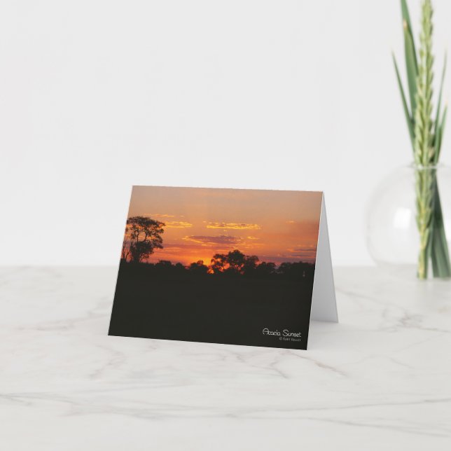 Cartão de Saudação Acacia Sunset (Frente)