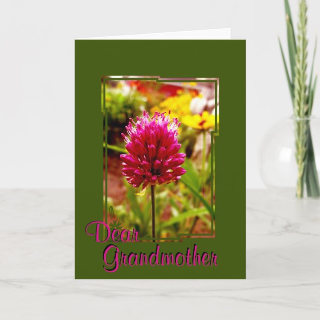 Cartão de Saudação Allium Rosa 002 (Frente)