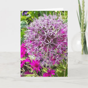 Cartão de Saudação Allium & Summer Flowers