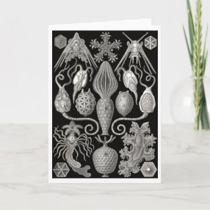 Cartão de Saudação "Ampla-ideia; ou, Animais-Estre