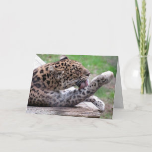 Cartão de Saudação Amur Leopard