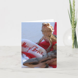 Cartão de Saudação Aussie Christmas