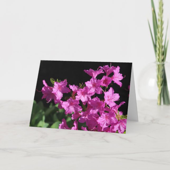 Cartão de Saudação Azalea (Frente)