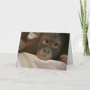 Cartão de Saudação Baby Chimp