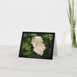 Cartão de Saudação Bastante Grande Pale Hibiscus