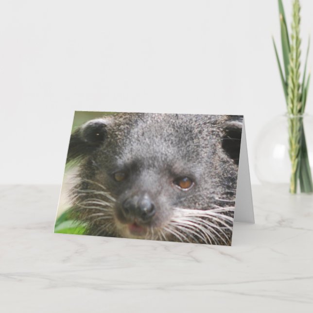 Cartão de Saudação Bearcat (Frente)