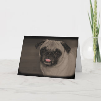 Cartão de Saudação Bella Donna