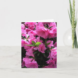 Cartão de Saudação Blossomo Rosa