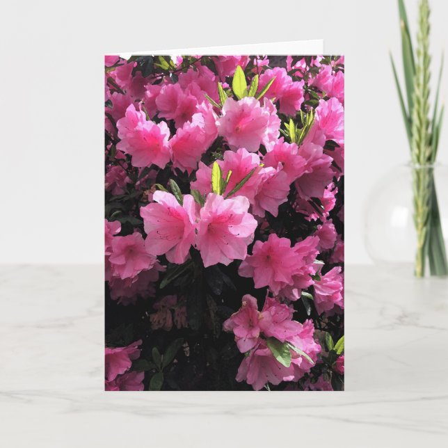Cartão de Saudação Blossomo Rosa (Frente)