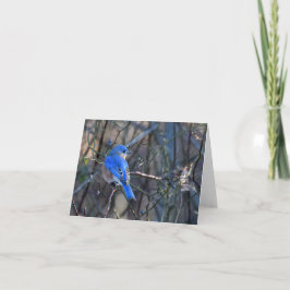 Cartão de Saudação Bluebird