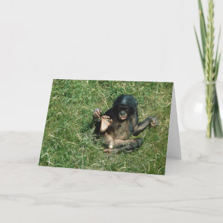 Cartão de Saudação Bonobo Ape, Bebê Muito Bonito