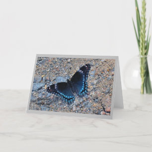 Cartão de Saudação - Borboleta Swallowtail