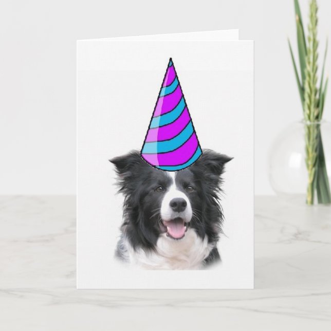 Cartão de Saudação~Border Collie Birthday (Frente)