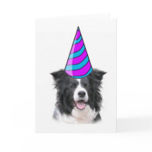 Cartão de Saudação~Border Collie Birthday